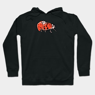 Ladybugs Mating Hoodie